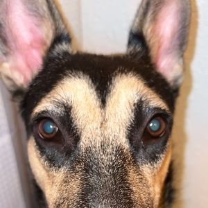 Meet your Posher, Aspen